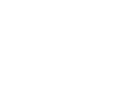 RecordNest logo